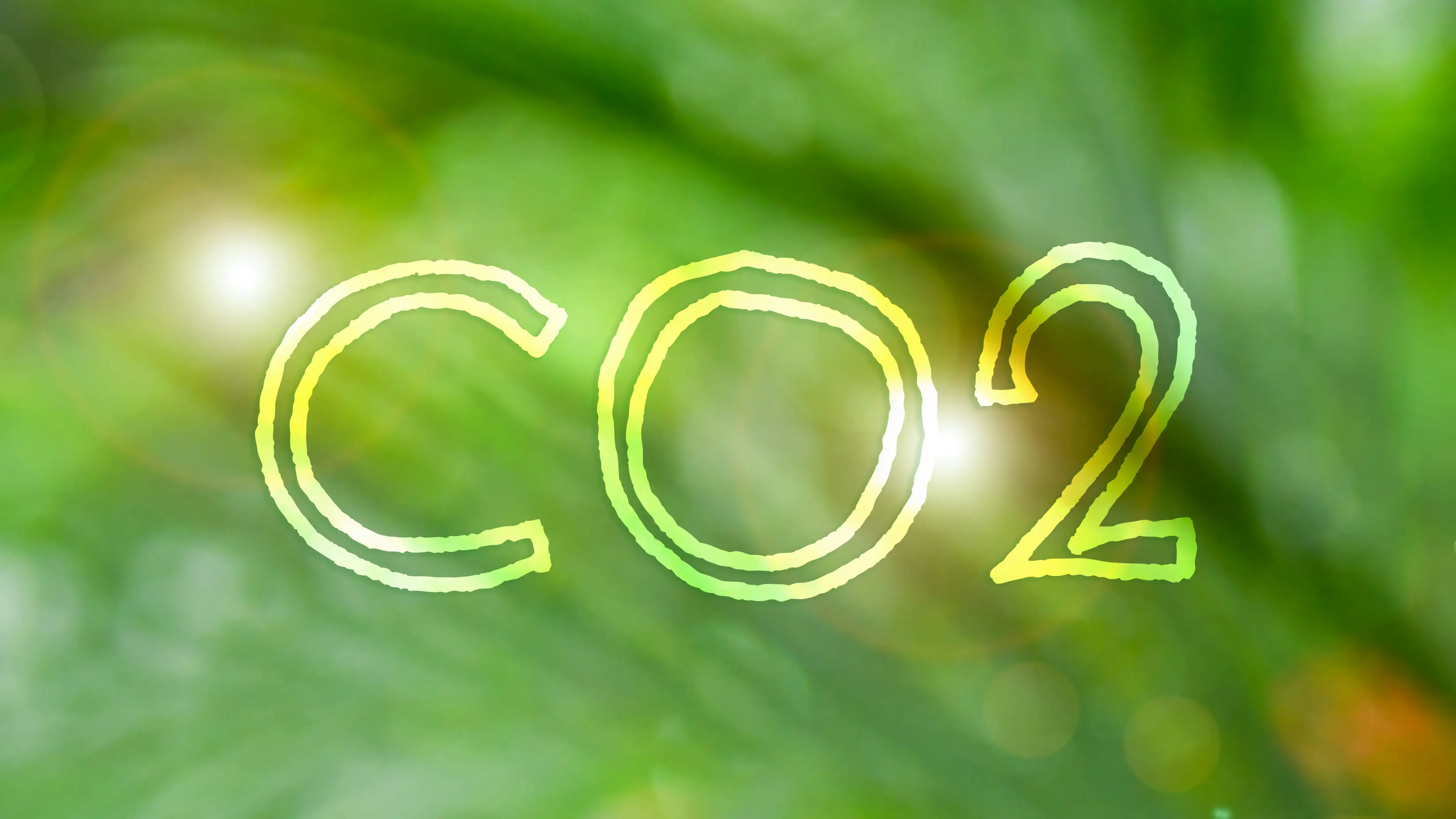 環境への取り組み　―Scope1/2温室効果ガス排出量ネットゼロ達成について―